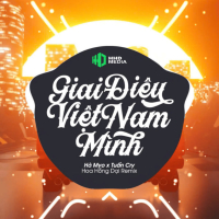Giai Điệu Việt Nam Mình (Hoa Hồng Dại Remix) (Single)