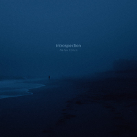 introspection (EP)
