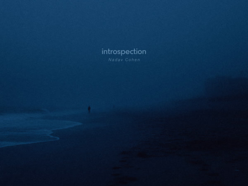 introspection (EP)