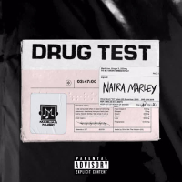 Drug Test (Single)