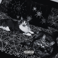 blades & pills (Single)