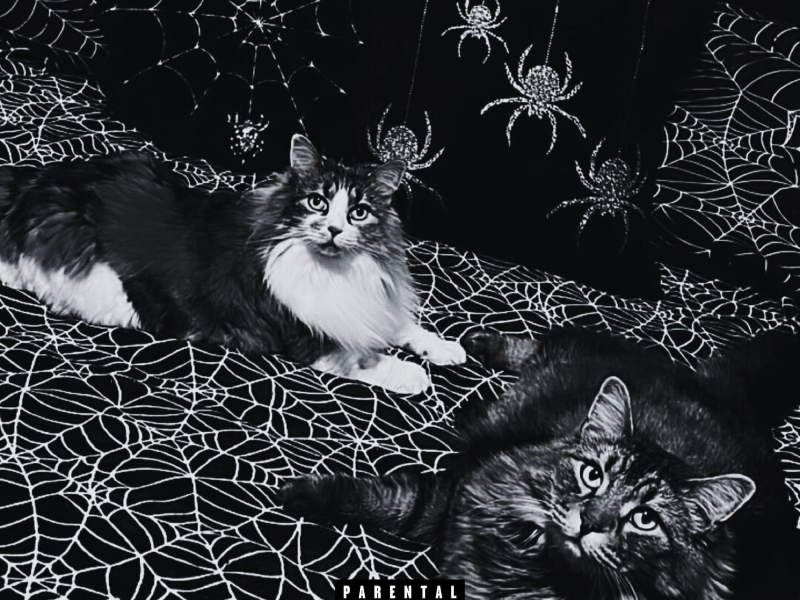 blades & pills (Single)