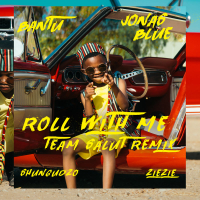 Roll With Me (Team Salut Remix) (Single)