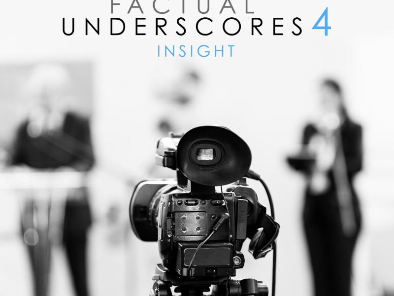 Factual Underscores 4: Insight