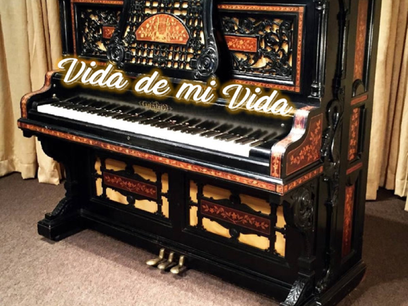 Vida de Mi Vida