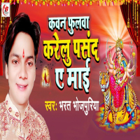 Kawan Phulwa Karelu Pasand Ae Mai (Single)