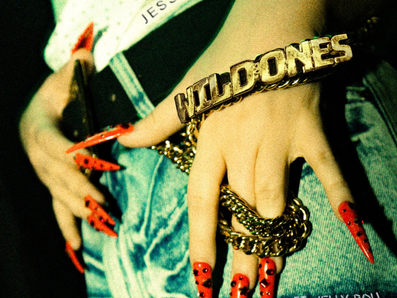 Wild Ones (Single)
