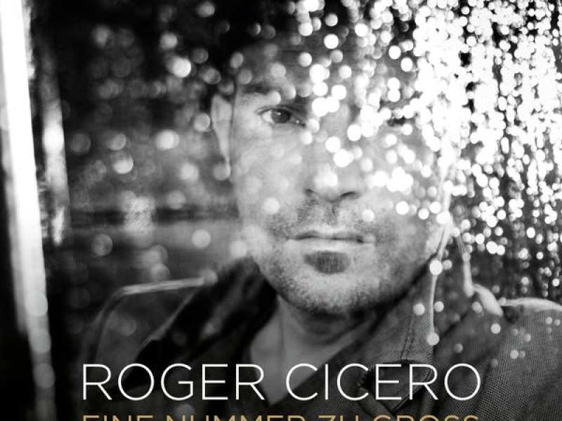 Eine Nummer zu groß (Single)