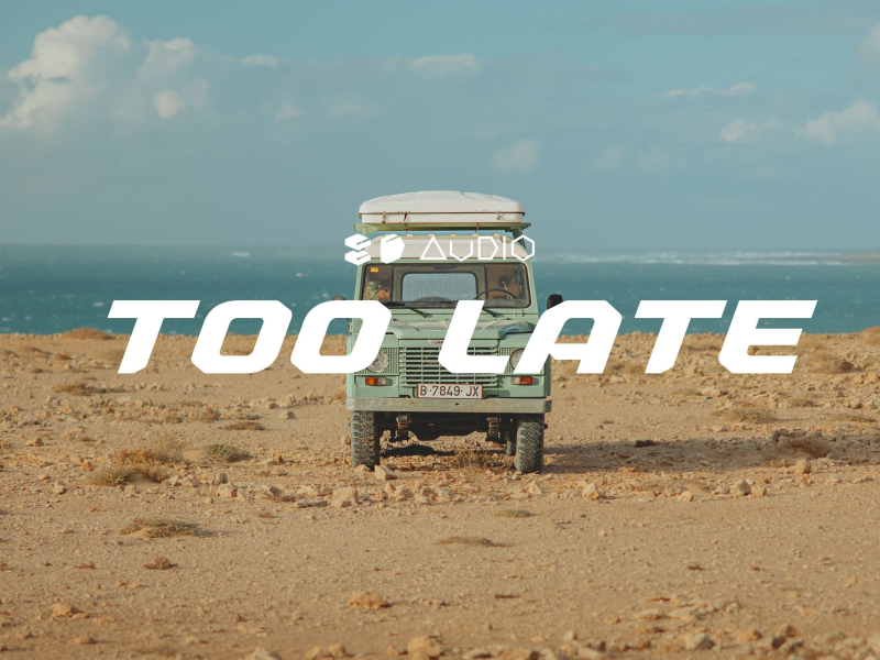 Too Late (Single)