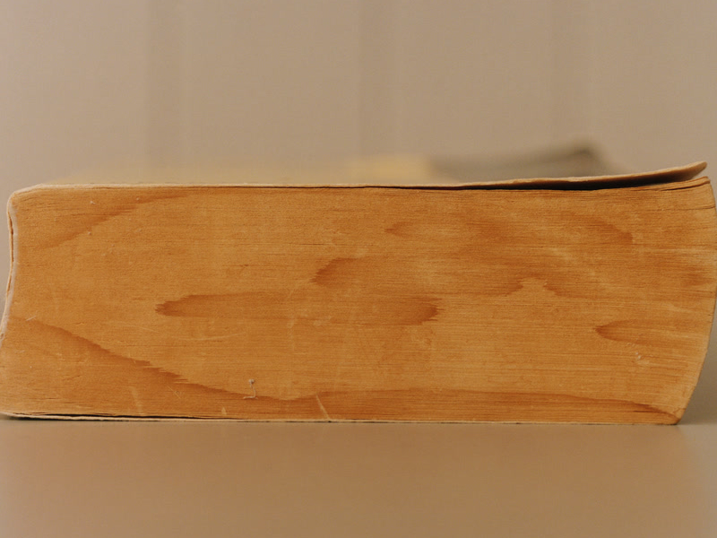 And Some Will Fall (Single)