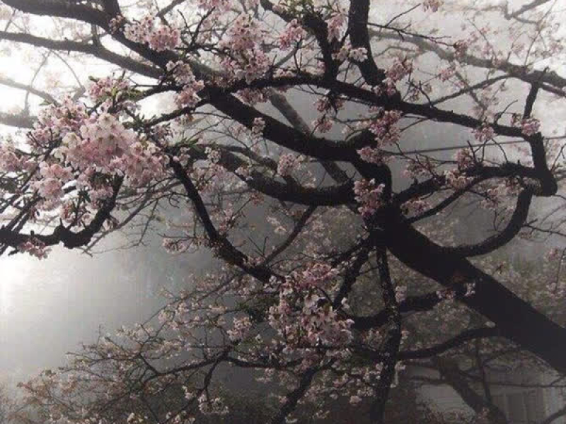 KET THUC (結尾) (Single)