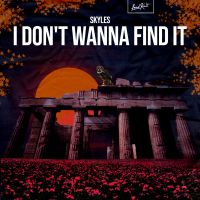 I Don't Wanna Find It (Single)