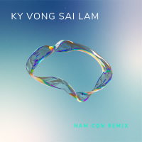 Kỳ Vọng Sai Lầm (Nam Con Remix) (Single)