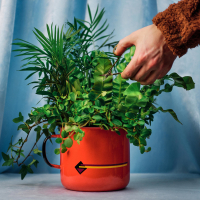 In meinem Garten (Single)