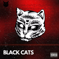 Black Cats (Single)