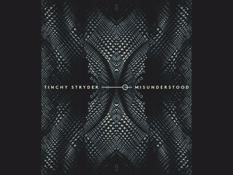 Misunderstood (Single)