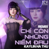 Chỉ Còn Những Niềm Đau (Remix) (EP)