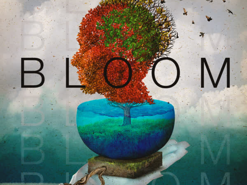 Bloom (Single)