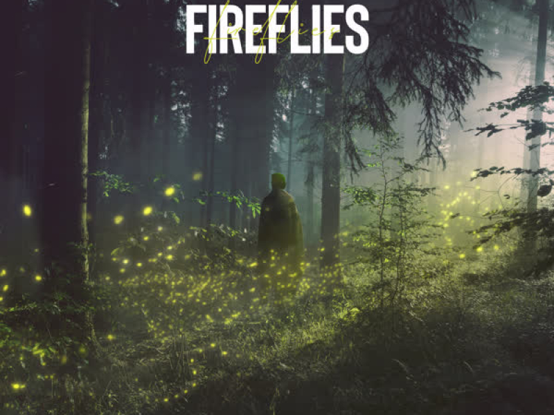 Fireflies (Single)