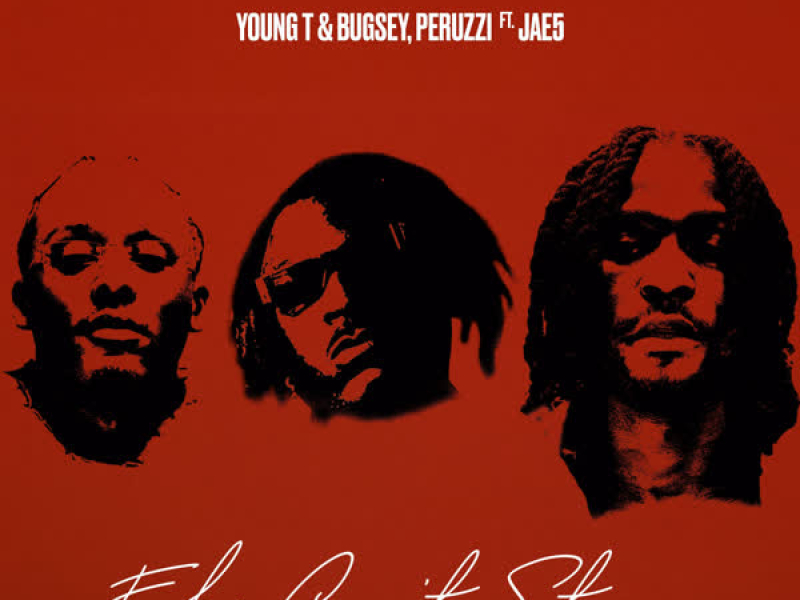 Fake Can't Stay (Remix) (Single)