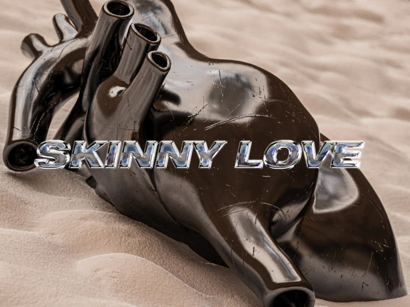 Skinny Love (feat. Jantine) (Single)