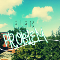 Fler problem (Single)