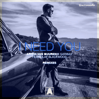 I Need You (feat. Olaf Blackwood) (Remixes) (Single)