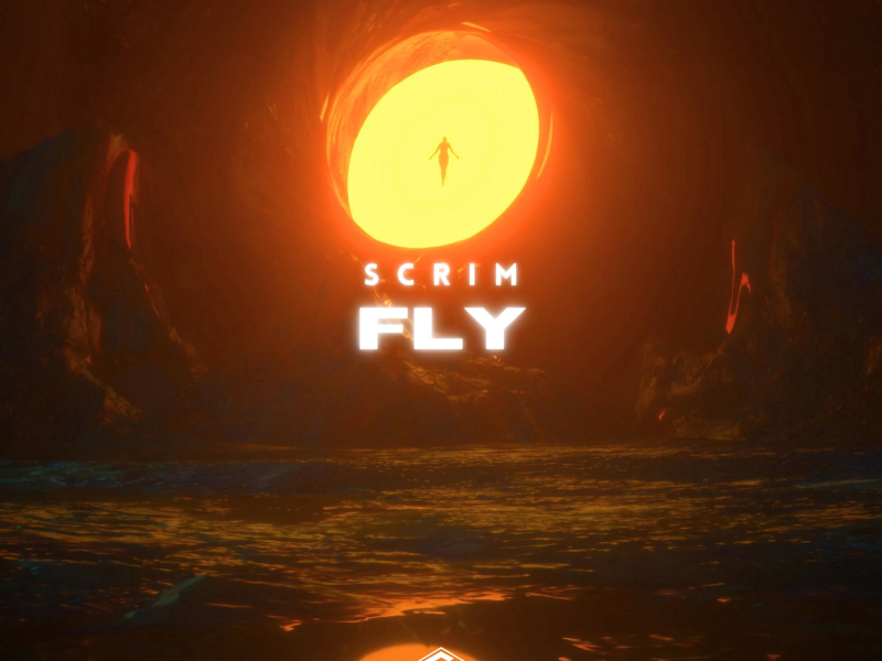Fly (Single)