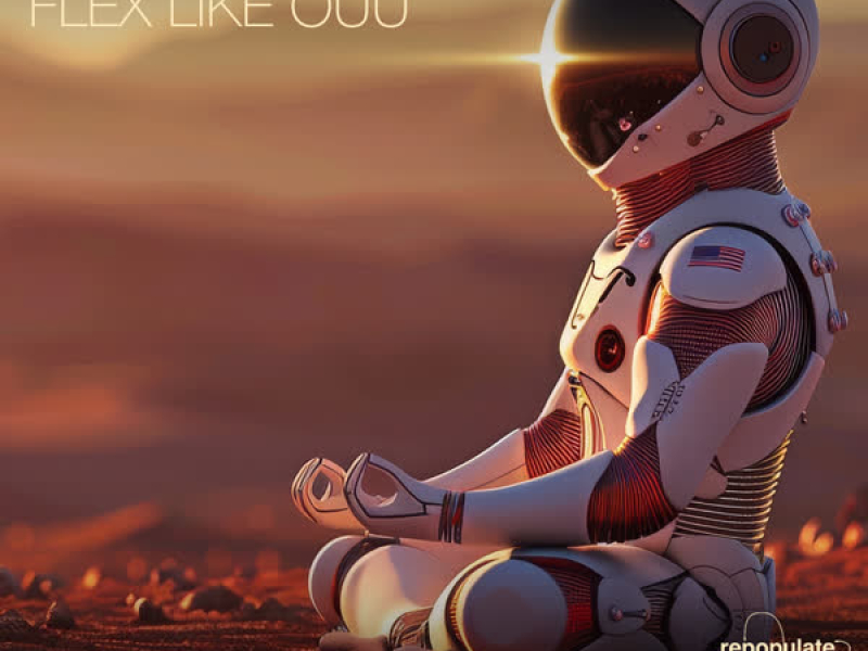 Flex Like Ouu (Single)