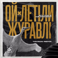 Ой, летіли журавлі (Tavron Remix) (Single)