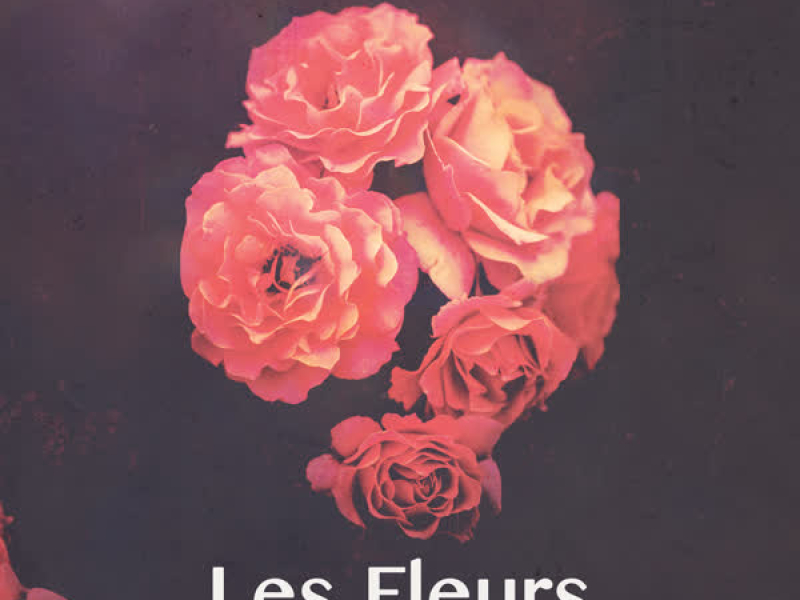 Les Fleurs (Star Slinger Remix) (Single)