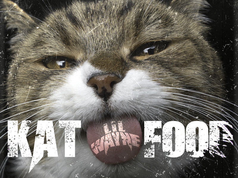 Kat Food (Single)