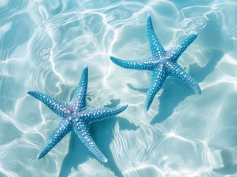 Alive Inside (Single)