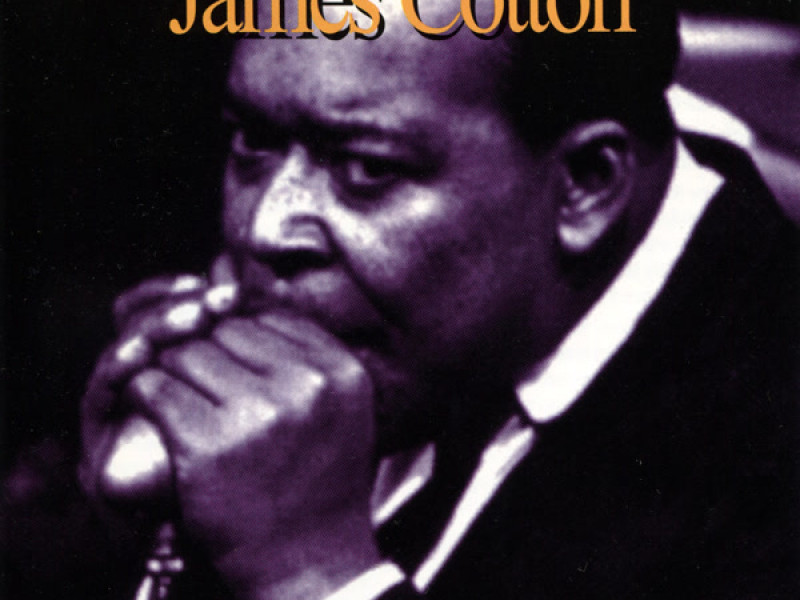 It Was A Very Good Year