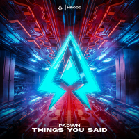Things You Said (Single)