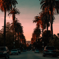 Sunset Blvd (Single)