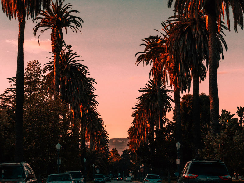 Sunset Blvd (Single)