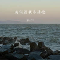 为何渡我不渡他 (DJ彭锐版) (Single)
