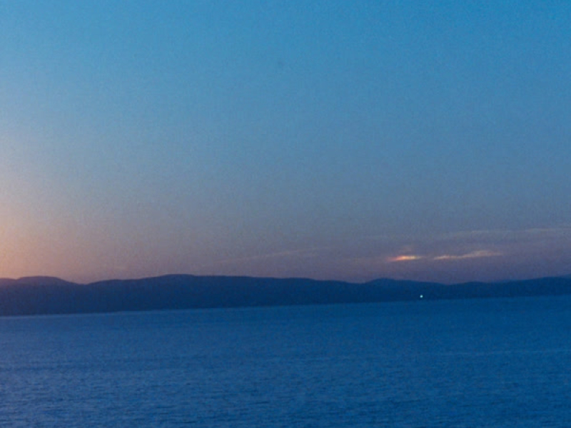 Walkabout WTP (Single)