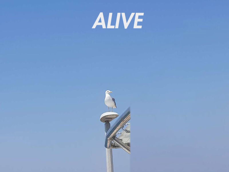 Alive (Single)