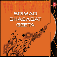 Shrimad Bhagwad Geeta Vol-1 (Single)