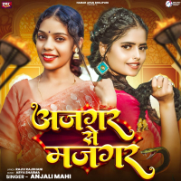 Ajgar Se Majgar (Single)