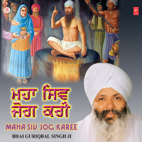 Maha Siv Jog Karee Vol-113 (Single)