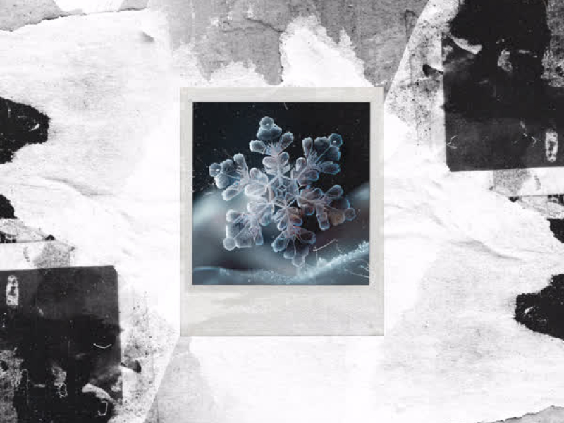 Better Days (Single)