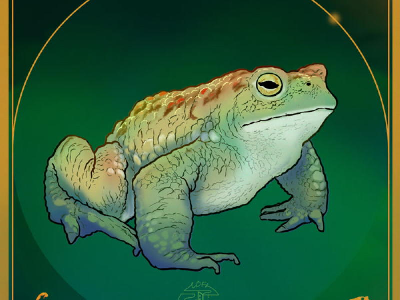 The Frog (Single)