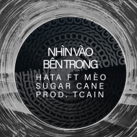 Nhìn vào bên trong (Single)