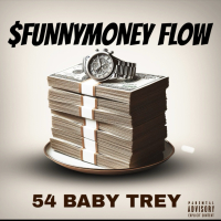 $FunnyMoney Flow (Single)
