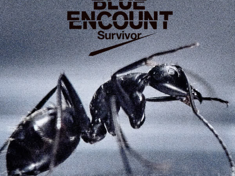 Survivor (EP)