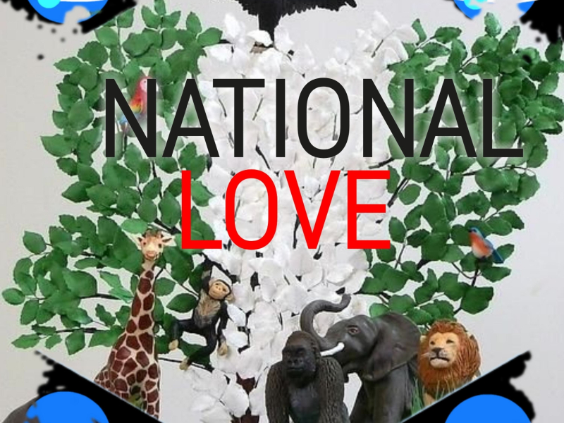 NATIONAL LOVE (Single)