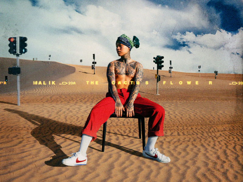 MALIK THE CACTUS FLOWER